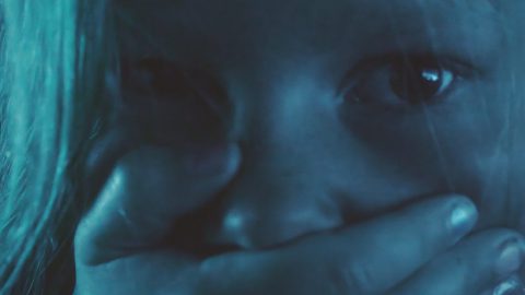 f-33-204-10209943_Q3thzjjj_SHADOWRABBITv2