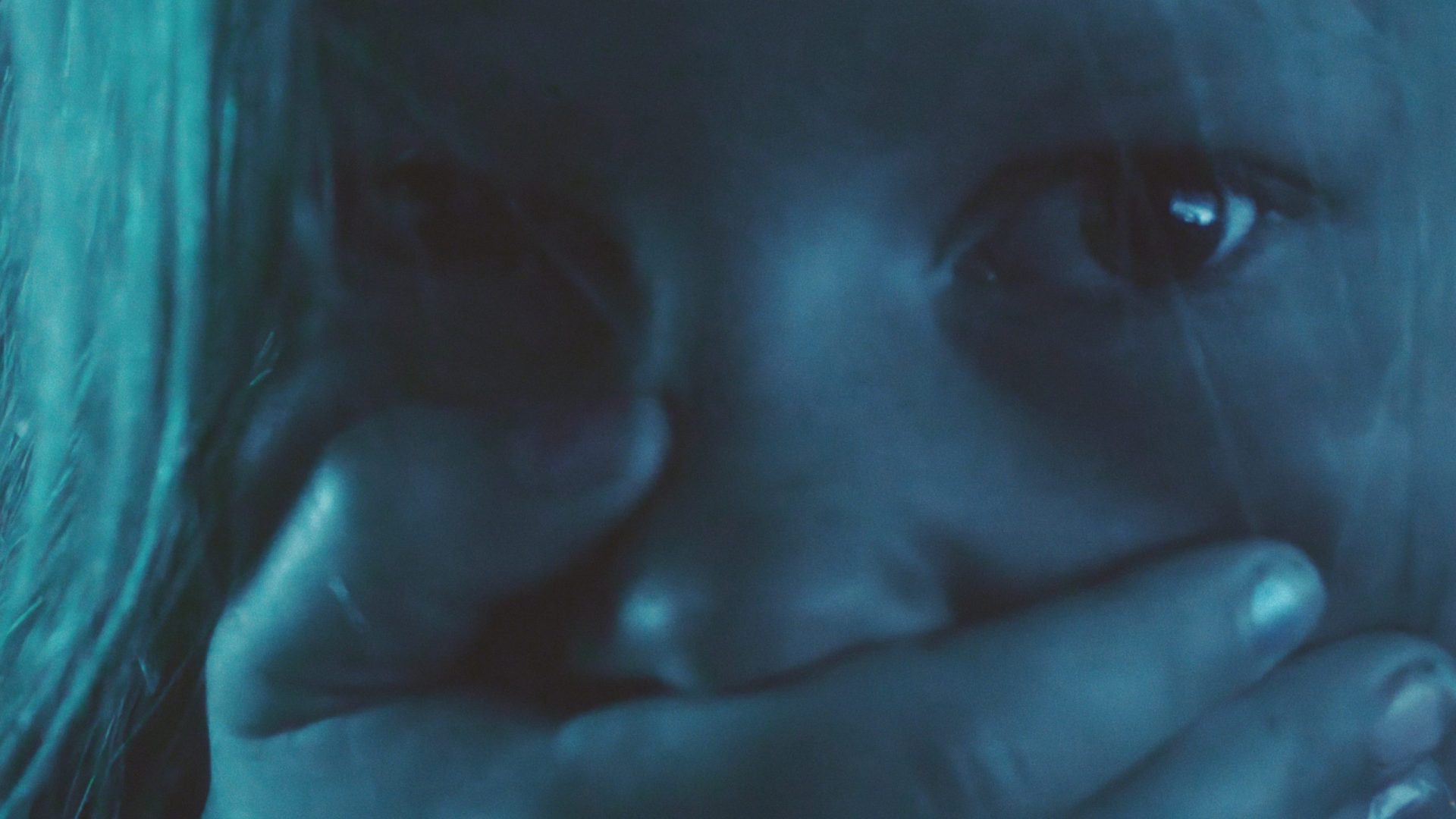 f-33-204-10209943_Q3thzjjj_SHADOWRABBITv2